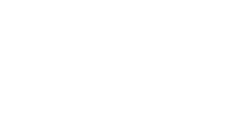 American Homes Group